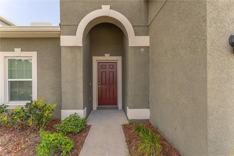 A home in KISSIMMEE