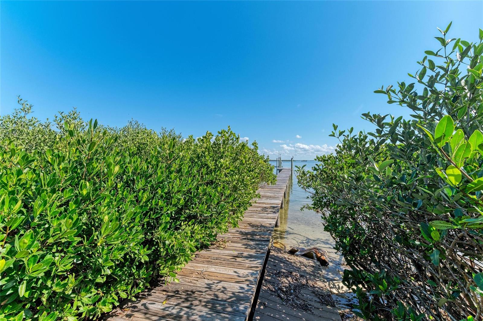 ILEXHURST - Residential