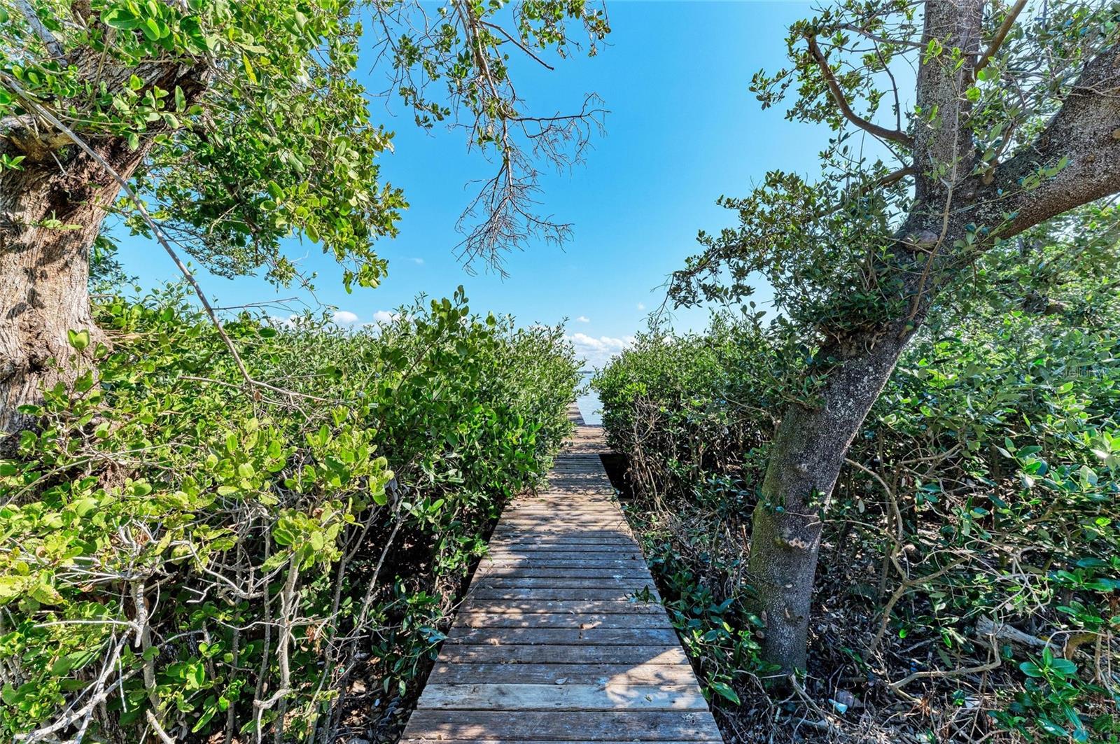 ILEXHURST - Residential