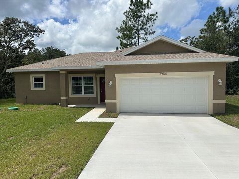 A home in CITRUS SPRINGS