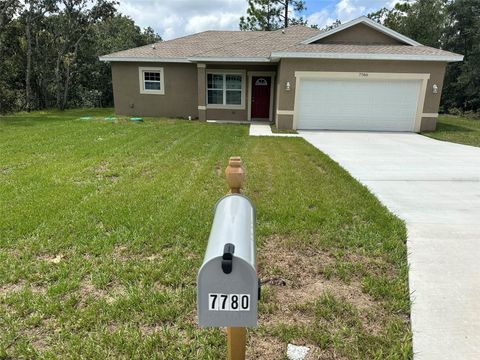 A home in CITRUS SPRINGS