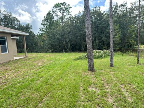 A home in CITRUS SPRINGS