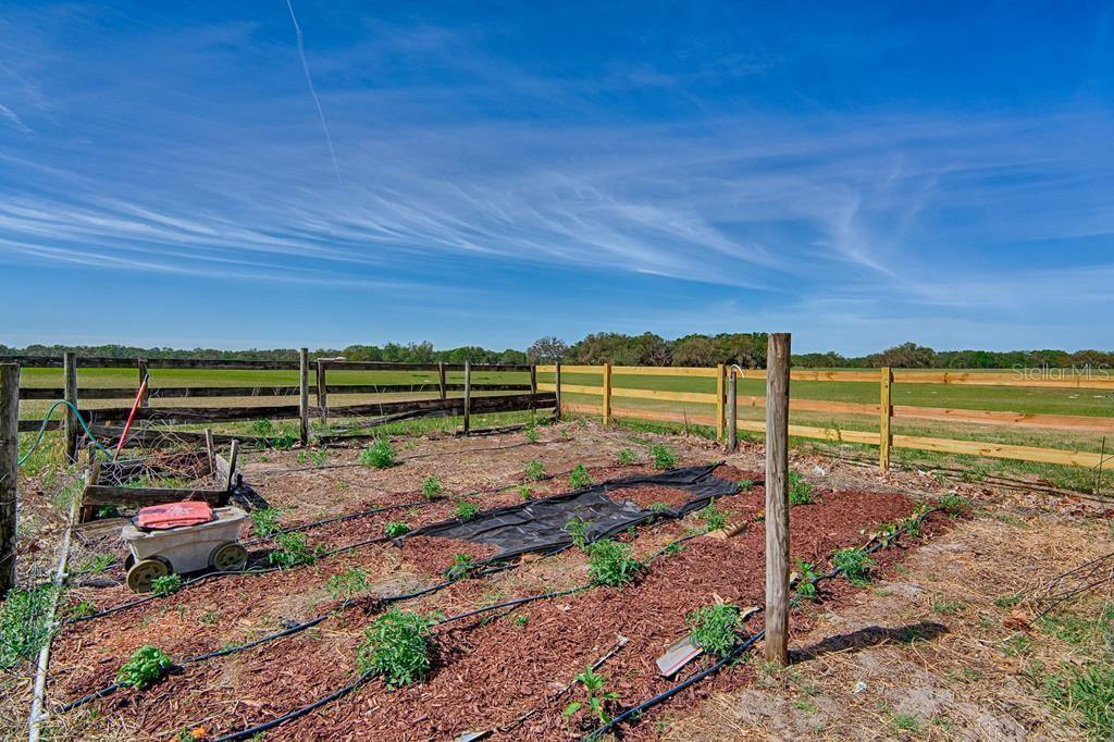 NOT IN SUBDIVISION - Residential