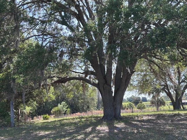 NOT IN SUBDIVISION - Residential