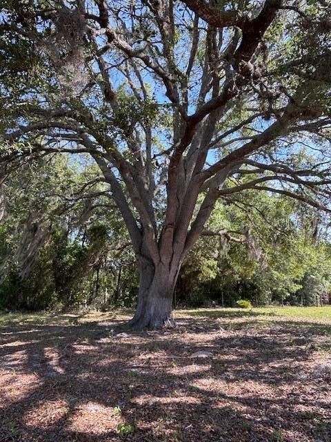 NOT IN SUBDIVISION - Residential