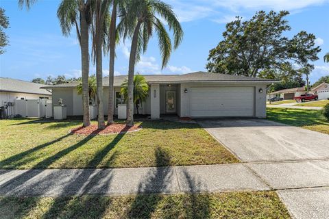 Photo of 2935 Atwood Drive, Clearwater, FL 33761 (MLS # O6361384)