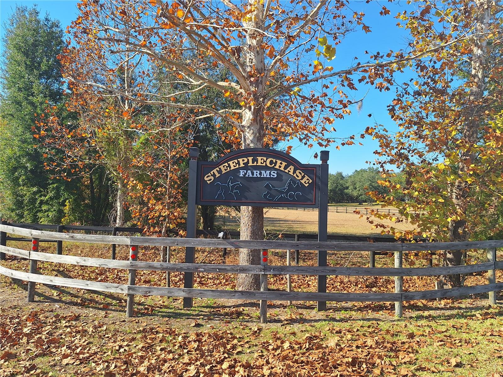STEEPLECHASE FARMS - Residential
