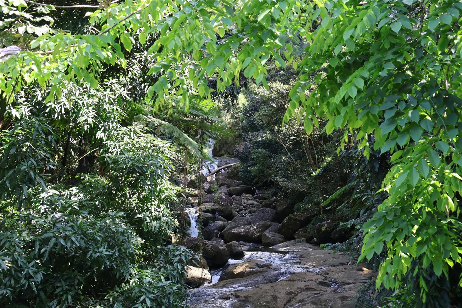 YUNQUE - Residential