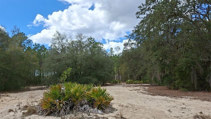 Located in Silver Springs Shores East, This oversized lot fronts on a paved road at the rear of the development.  The Ocklawaha River and Ocklawaha Prairie Restoration Area are close by offering recreational activities. Planted pines on Fig Lake Preserve to the rear insure no future neighbors to the West AND beautiful pine forest views.  This prime lot is cleared in the center, plus there is an approximate  30' section of woods on the southern side  for additional privacy.