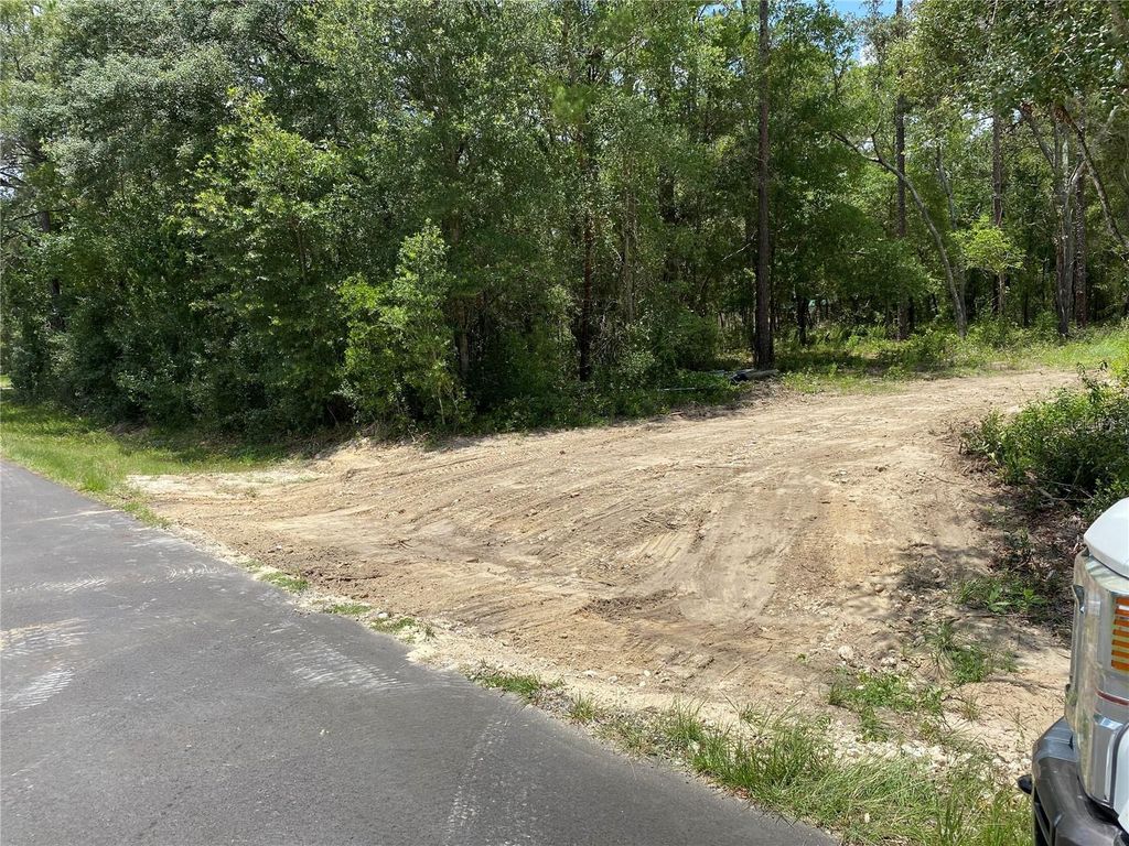 Photo of 2801 E Possum Court #118, Inverness, FL 34452 (MLS # S5139468)