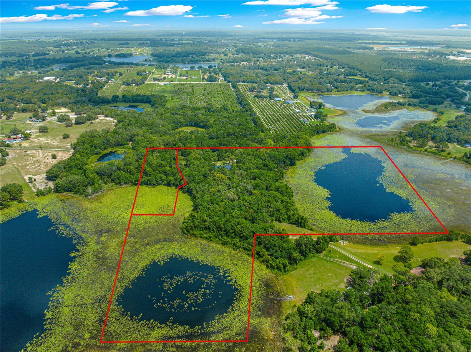 TIGERHEAD LAKE AREA - Residential