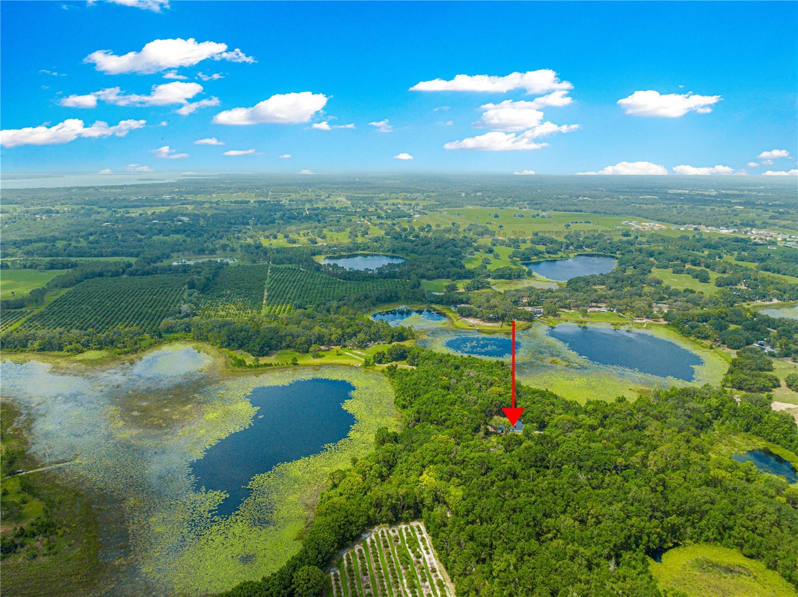 TIGERHEAD LAKE AREA - Residential