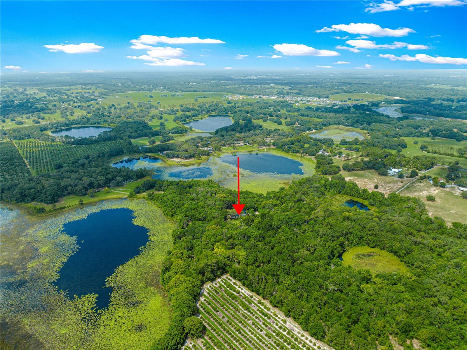 TIGERHEAD LAKE AREA - Residential