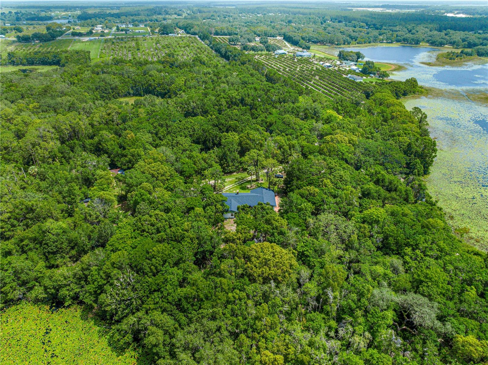 TIGERHEAD LAKE AREA - Residential