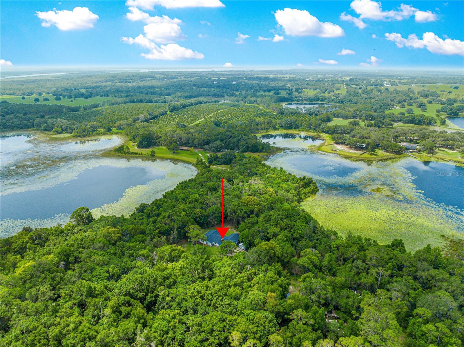 TIGERHEAD LAKE AREA - Residential