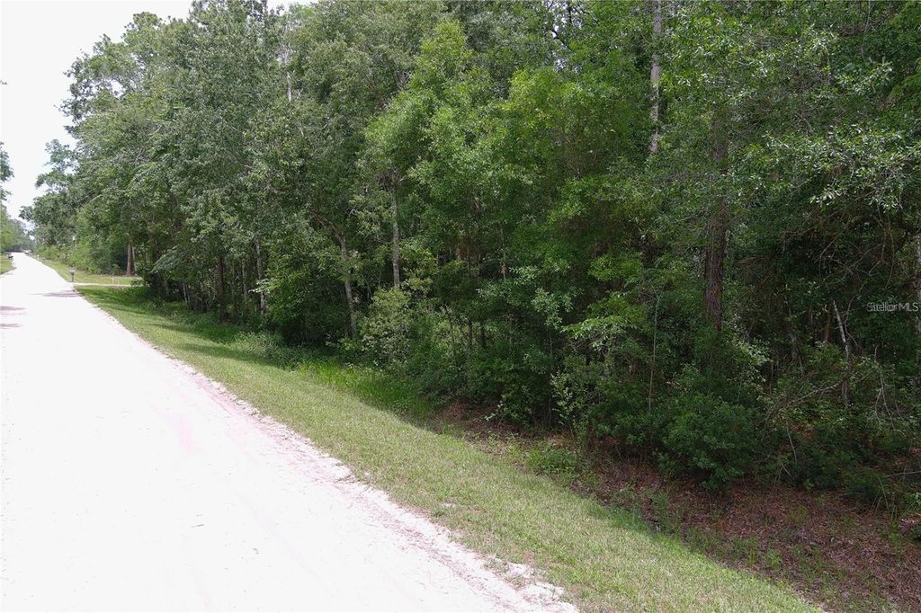 Photo of 1823 Honeytree Street, Bunnell, FL 32110 (MLS # FC315583)