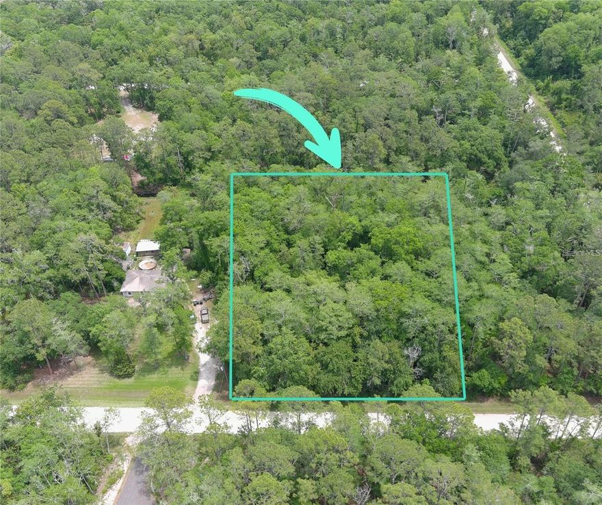 Discover a rare opportunity to own over an acre of untouched Florida countryside at 1823 Honeytree Street in beautiful Bunnell. Tucked away in the peaceful Daytona North community, this expansive 1.14-acre lot offers endless possibilities for your dream home, mobile home, or weekend getaway. Here, there’s no rush—build when you're ready and enjoy the freedom of no HOA restrictions. Imagine waking up to wide-open skies, the sounds of nature, and the space to create the lifestyle you’ve always wanted. Whether you dream of a private homestead, a family retreat, or simply a place to escape the hustle and bustle, this property delivers. Enjoy the best of both worlds: the quiet charm of rural living while still being a short drive to Flagler Beach, Palm Coast, and the conveniences of shopping, dining, and major highways. This is more than just land—it's your blank canvas to a life of tranquility and possibility