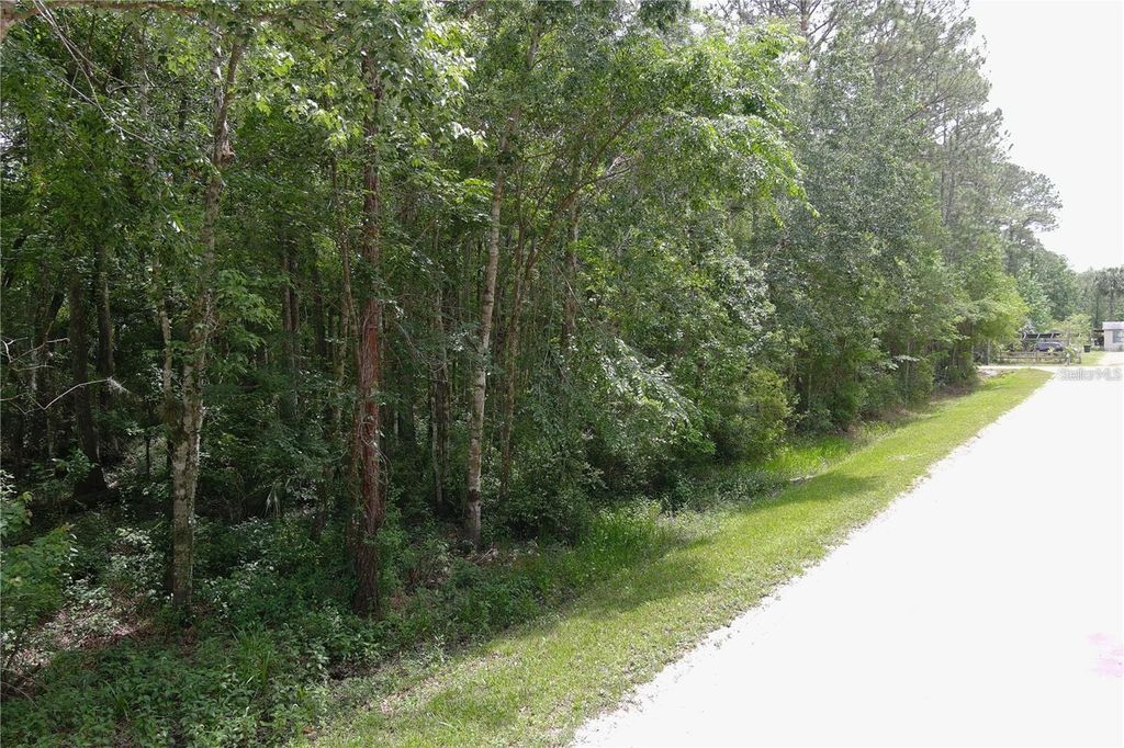 Photo of 1823 Honeytree Street, Bunnell, FL 32110 (MLS # FC315583)