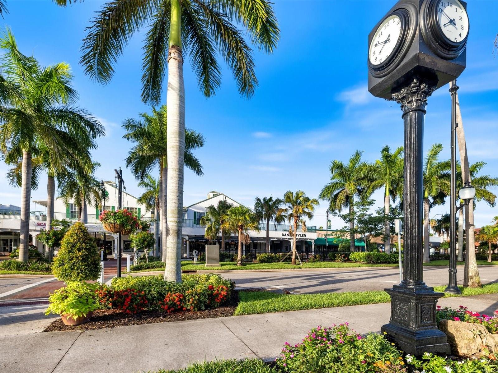 SOUTH VENEZIA PARK - Residential