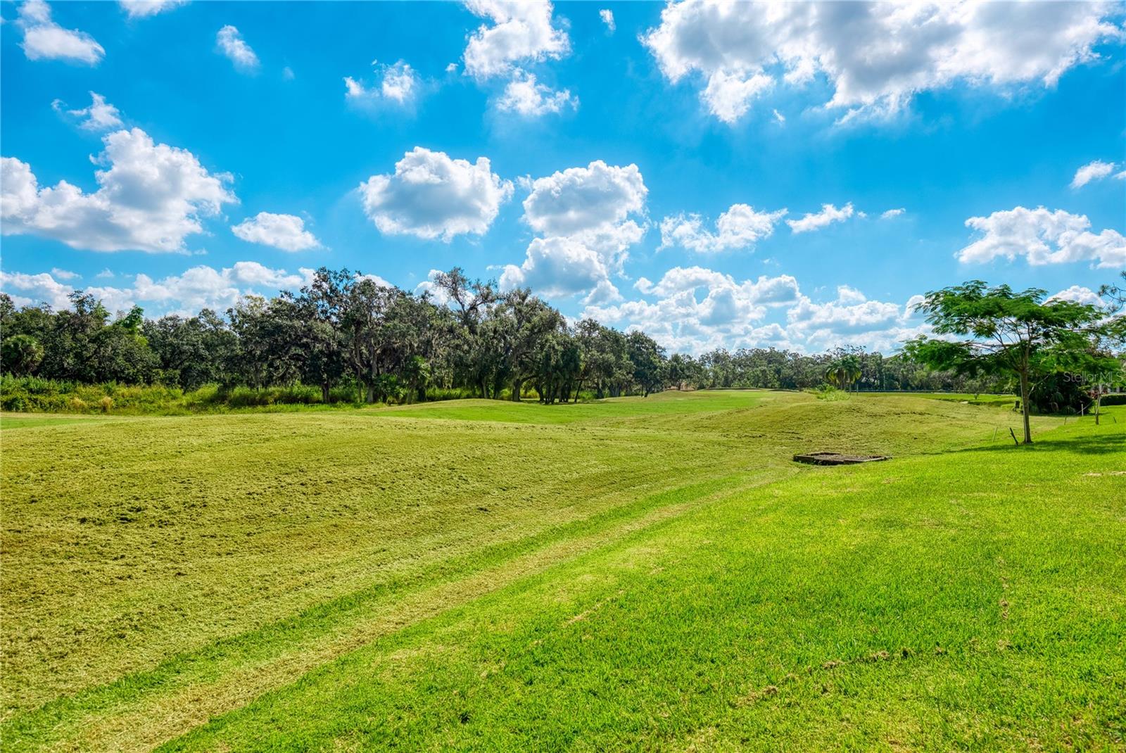 OAKLEY GREEN - Residential