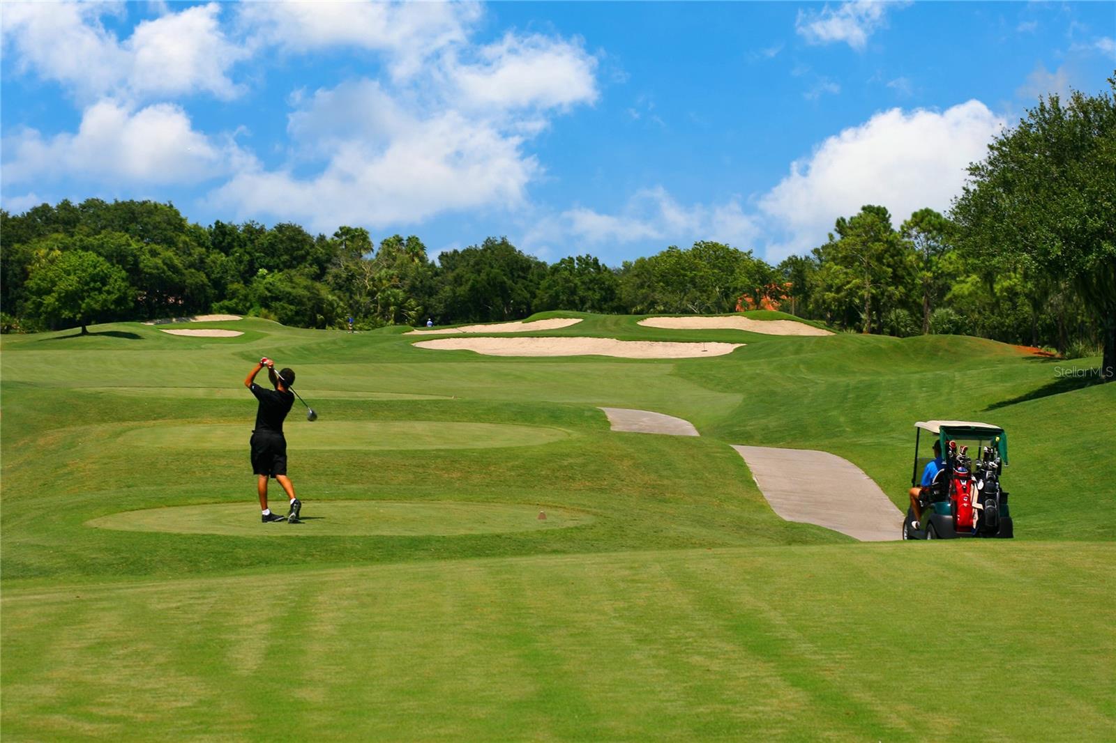 OAKLEY GREEN - Residential