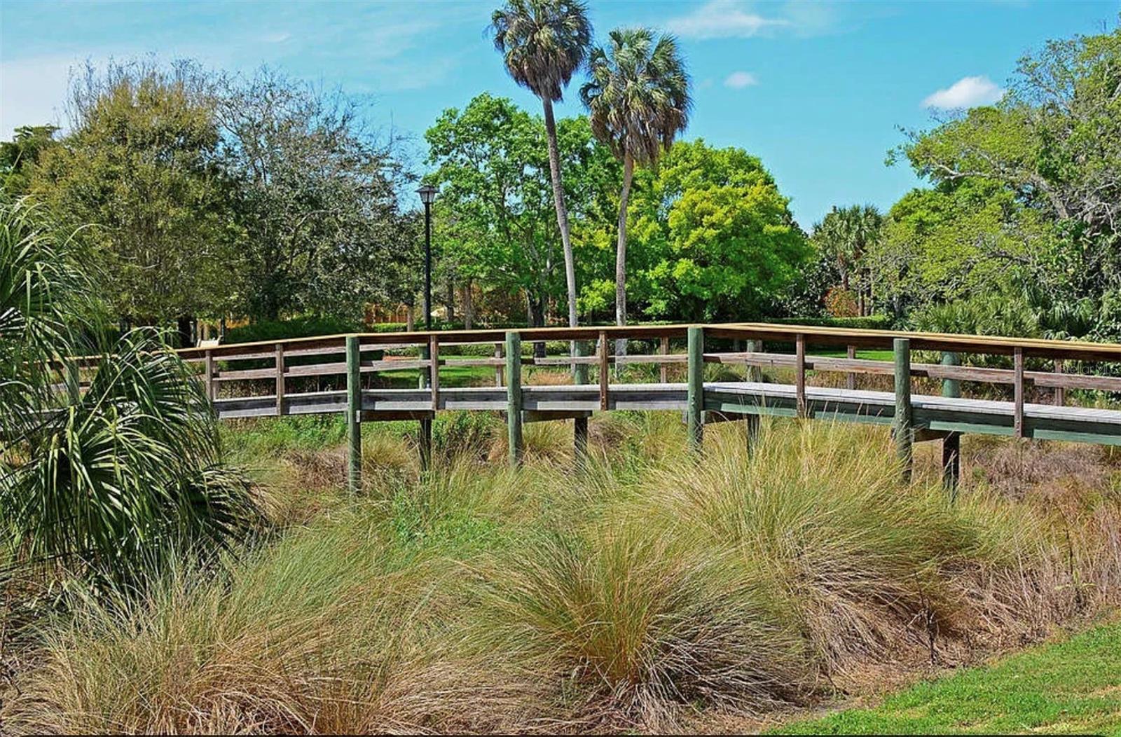 PALMA SOLA TRACE - Residential