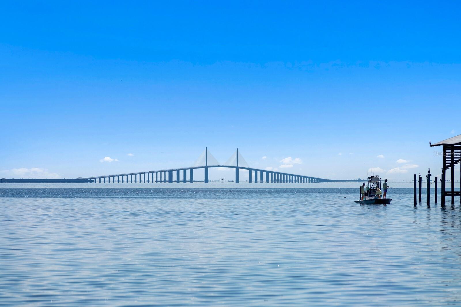 TIERRA VERDE - Residential