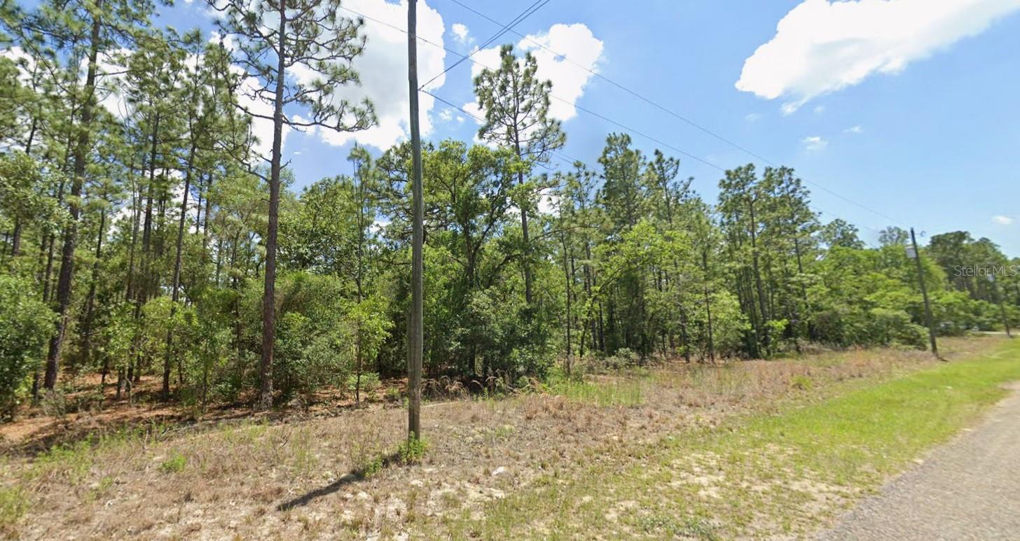 CITRUS SPGS UNIT 03 - Land