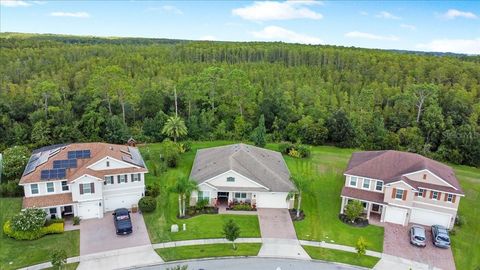 A home in KISSIMMEE