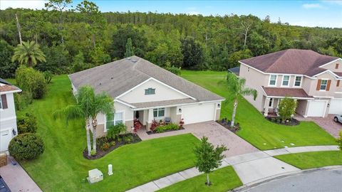 A home in KISSIMMEE