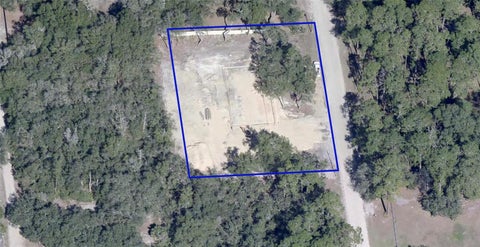 Tiny photo for 47125 East Avenue, Paisley, FL 32767 (MLS # V4951914)