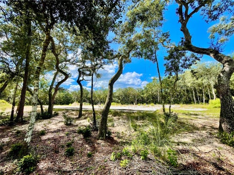Photo of 47125 East Avenue, Paisley, FL 32767 (MLS # V4951914)