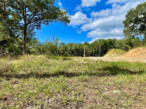 Tiny photo for 47125 East Avenue, Paisley, FL 32767 (MLS # V4951914)