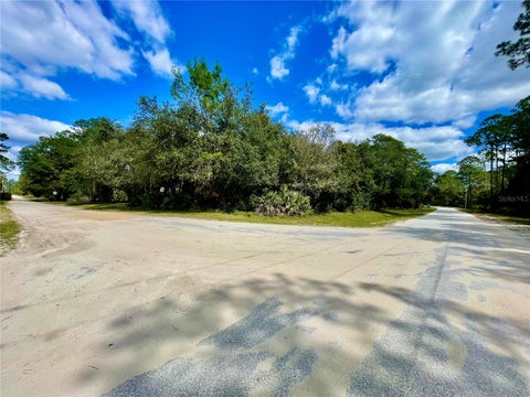Tiny photo for 47125 East Avenue, Paisley, FL 32767 (MLS # V4951914)