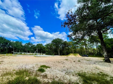 Tiny photo for 47125 East Avenue, Paisley, FL 32767 (MLS # V4951914)