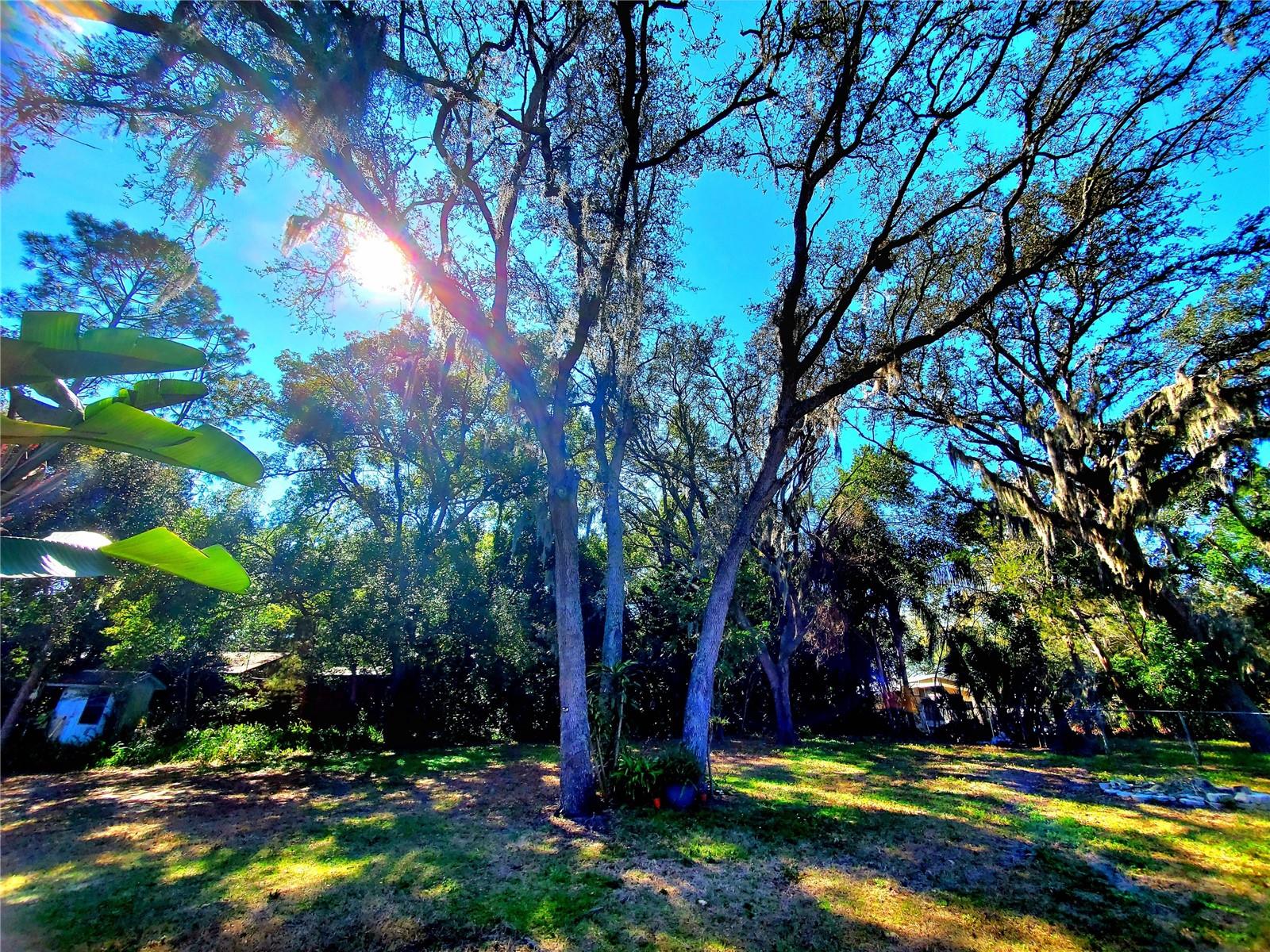 RED OAK HILLS - Residential