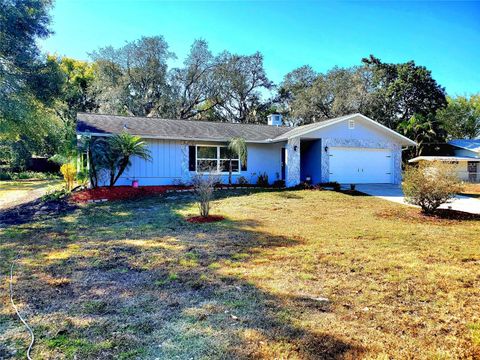 804 ROBIN AVENUE PALM HARBOR FL 34683