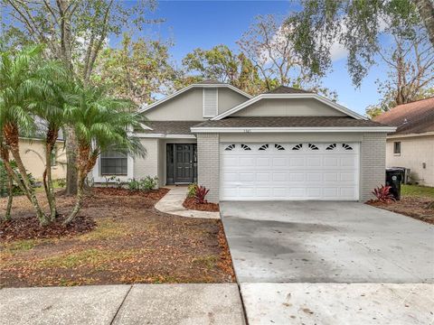 A home in APOPKA