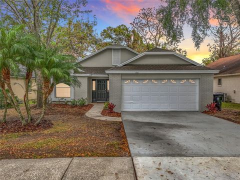 A home in APOPKA