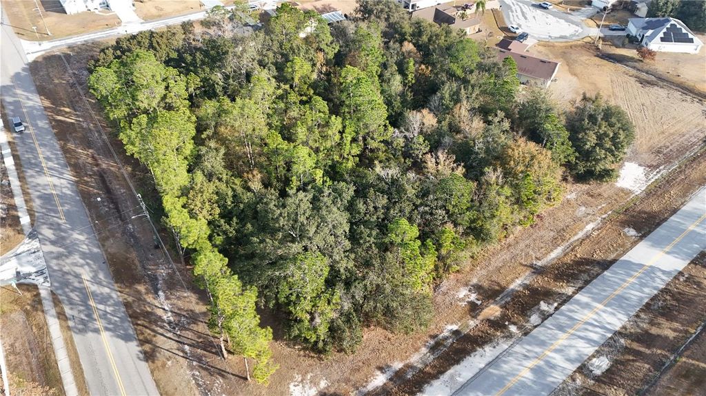 Photo of Tbd Walnut Street, Kissimmee, FL 34759 (MLS # S5143997)