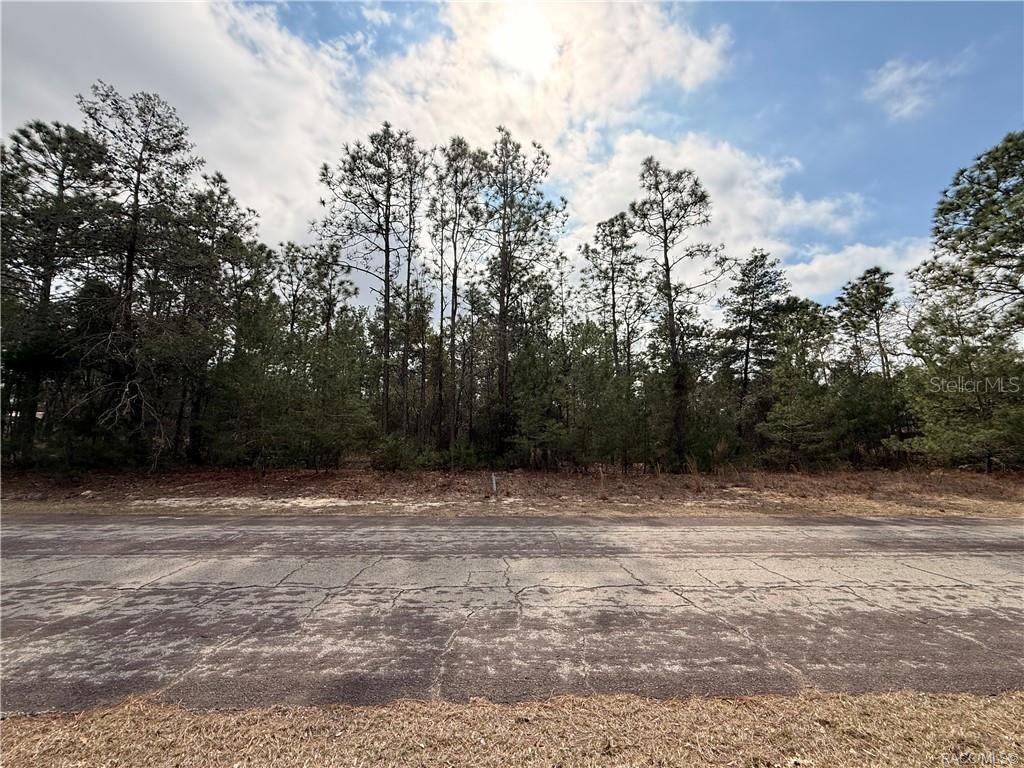 PINE RIDGE UNIT 03 - Land