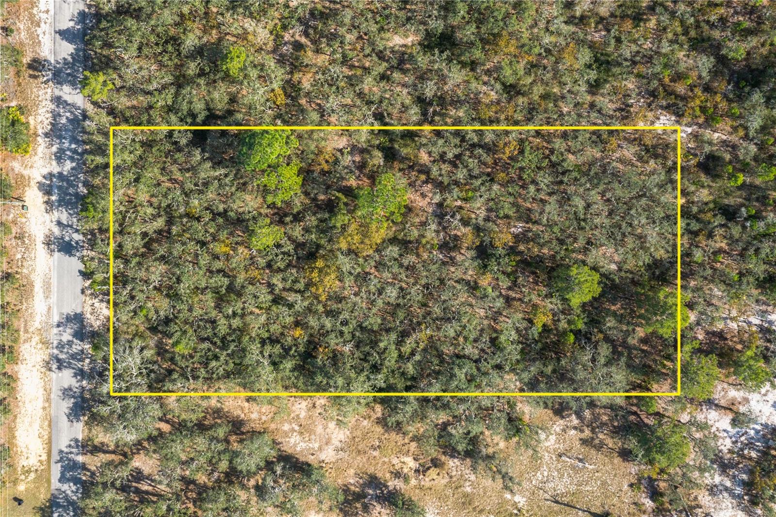 REEDY LAKE ESTATES - Land