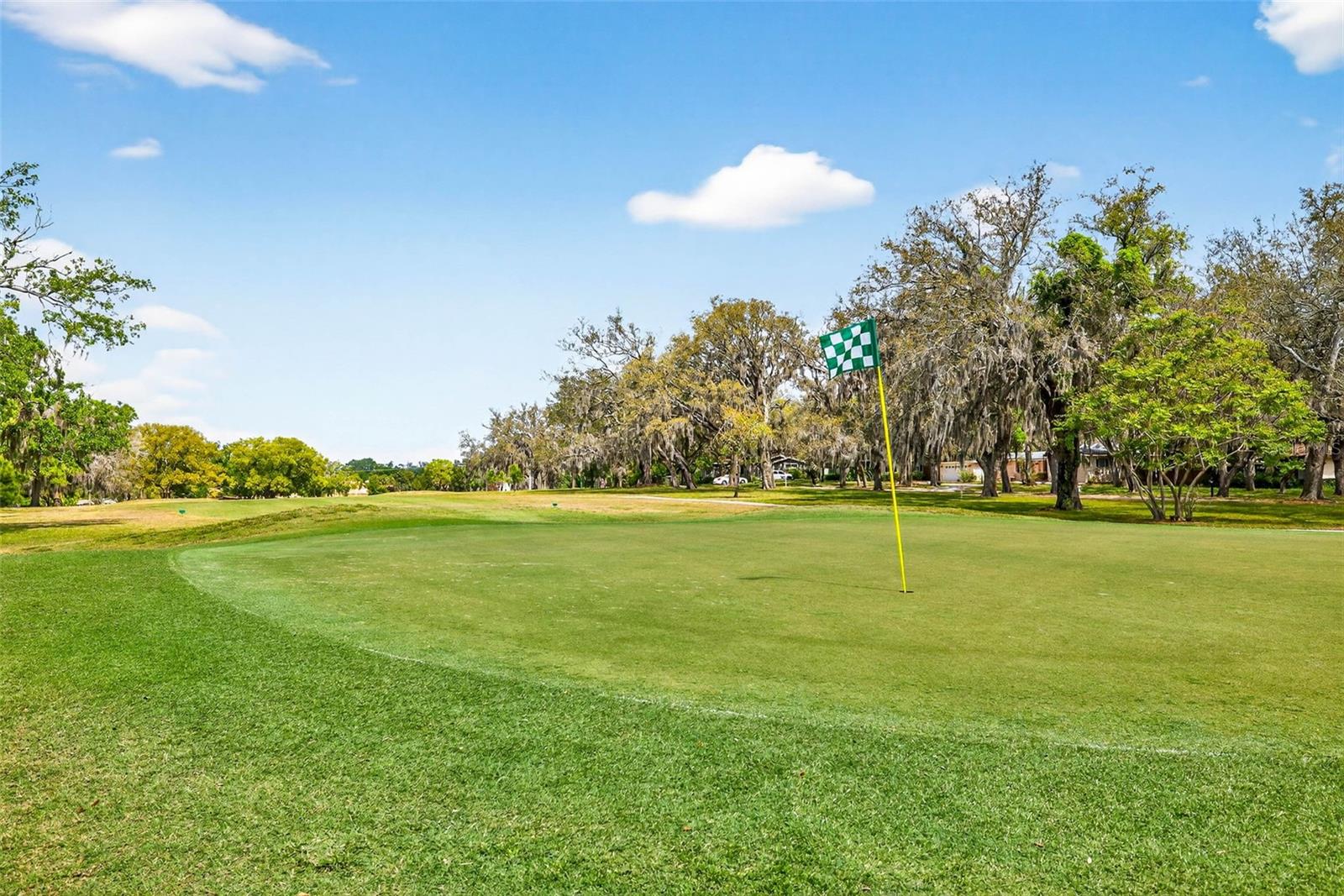 TEMPLE TERRACE ESTATES SEC 22 - Residential