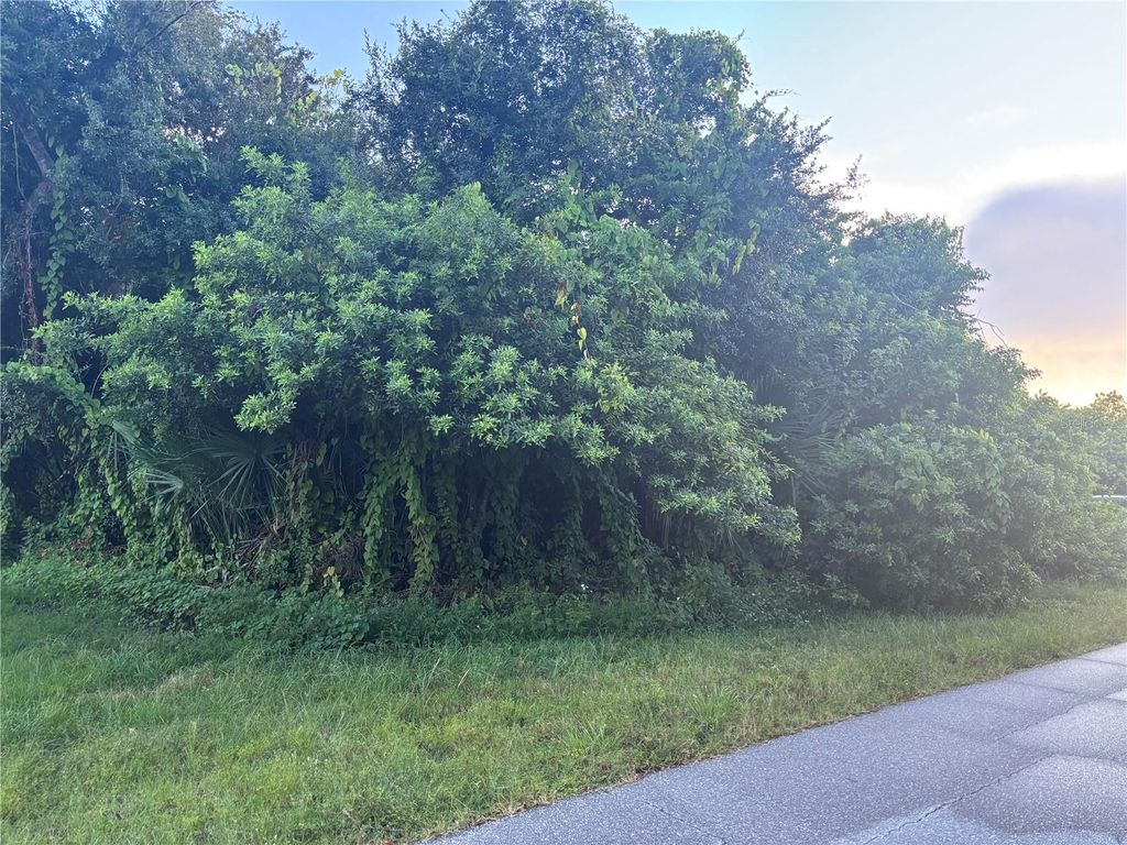 Photo of 1019 Tropical Avenue NW, Port Charlotte, FL 33948 (MLS # C7515938)