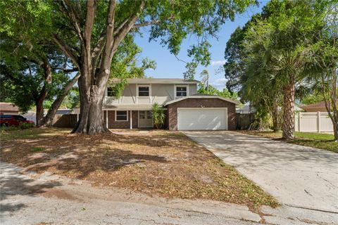 1907 RAMBLING LANE BRANDON FL 33510