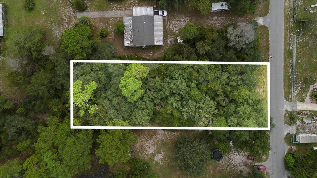 Photo of 0 Cedar Street, Paisley, FL 32767 (MLS # V4945289)