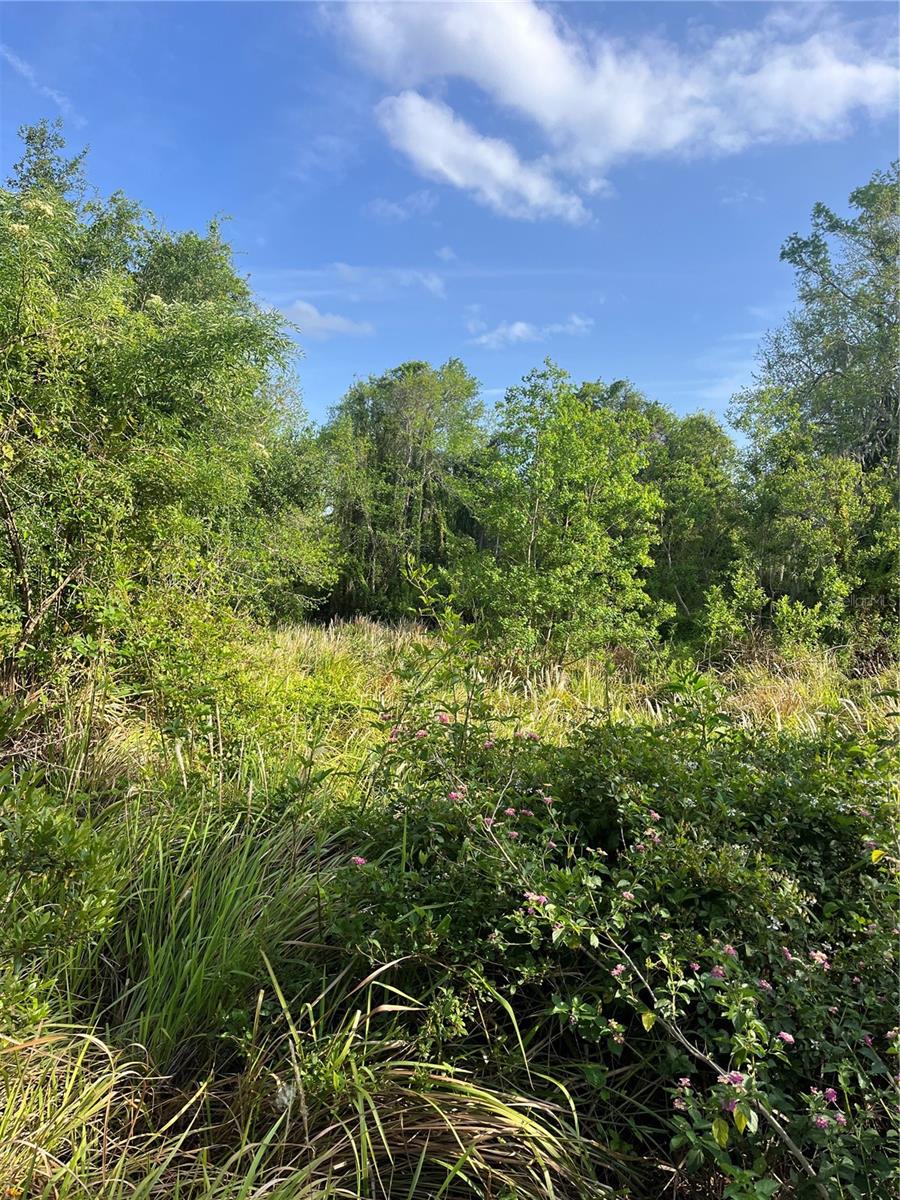 RUSTIC ACRES UNIT 2 - Land