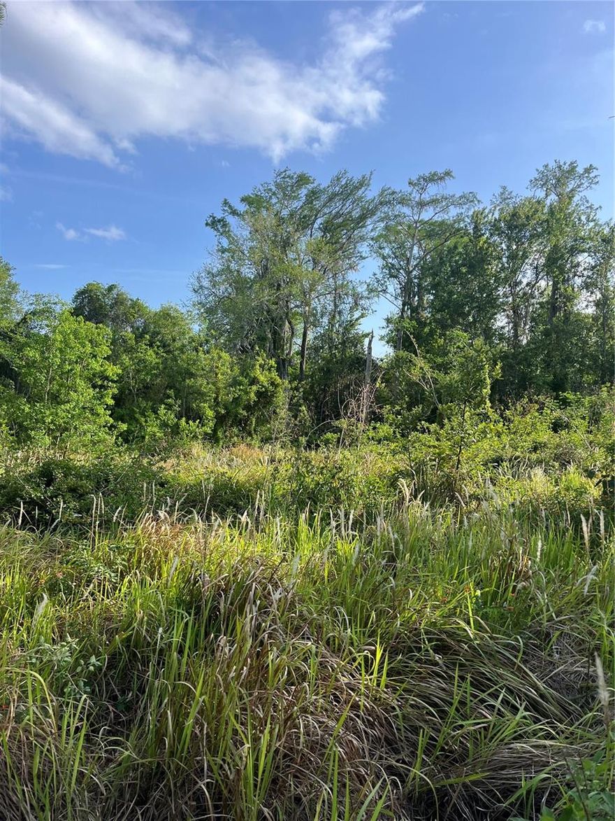 Build your dream home on this gorgeous waterfront property!  One of the few lake fronts for sale in the county, this raw piece of land boasts nearly 2 acres for you to utilize.  This is the only parcel of land for sale on Fells Cove, which leads directly to East Lake Toho:  The 2nd largest lake in Osceola County at 11,968 acres.  Located in the Rustic Acres sub-division, it one of the few undeveloped parcels left in the neighborhood.  You can see what you can build by looking closely at the neighboring properties and what they have built.  As of the current listing, the average price for a lakefront acre on East Lake Toho is $329,000.  This property presents a compelling opportunity for discerning buyers seeking prime waterfront real estate at a below market value!