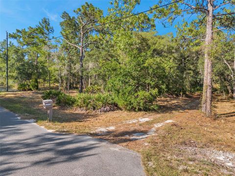 A home in WEEKI WACHEE