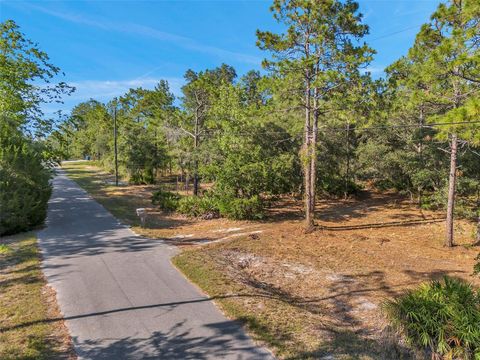 A home in WEEKI WACHEE